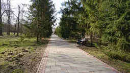 Човни, латання алей, кросфіт на пляжі: які плани на луцький парк?