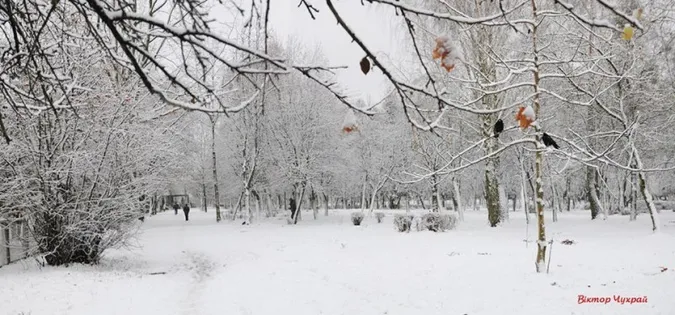 Фотографи показали засніжену природу Луцька