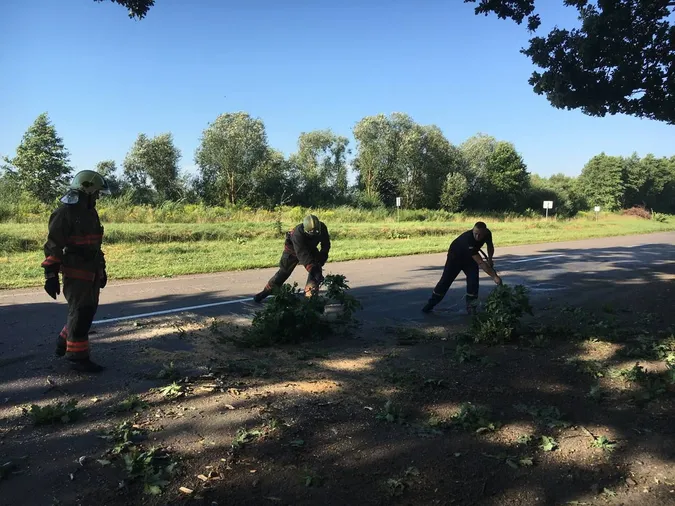 У Луцькому районі дерево звалилось на дорогу (фото)