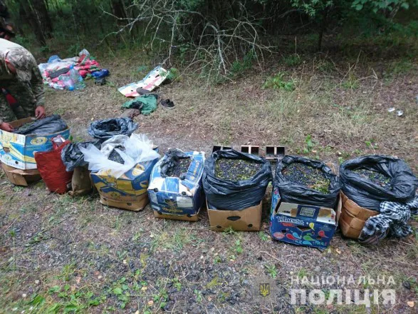 Із Чорнобильської зони намагались вивезти 320 кілограмів радіоактивних грибів та ягід
