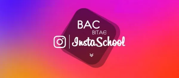В Україні запускають першу Instagram-школу