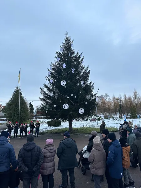 У Володимирі відкрили головну ялинку міста (фото)