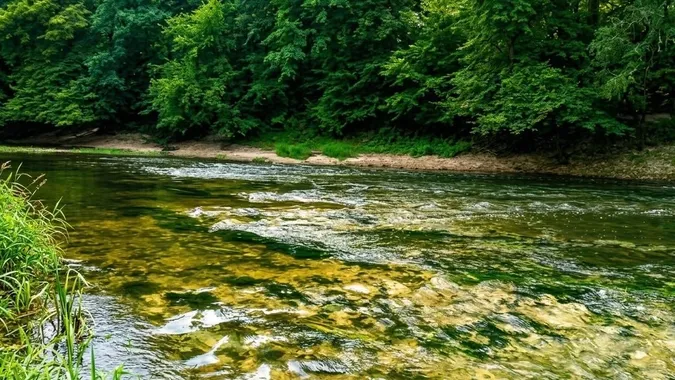 Річки Полісся катастрофічно міліють: уже видно кам'яні пороги на дні (фото)