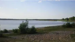 У трьох водоймах на Волині знайшли збудники холери (відео)