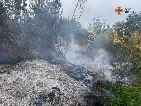 Гасили дві години: на Ківерцівщині через необережність людей загорілася суха трава (фото)