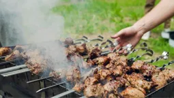 Де біля Луцька посмажити шашлики
