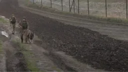 Як на Волині охороняють кордон із Польщею та Білоруссю (відео)