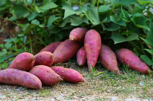 Їжа, яка знижує холестерин: 32 найкращі продукти