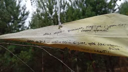 «Щоб закінчилась війна…»: у лісі на Волині знайшли літачок із мріями школярів (фото)