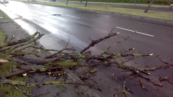 Що наробила негода в Луцьку (фото, відео)