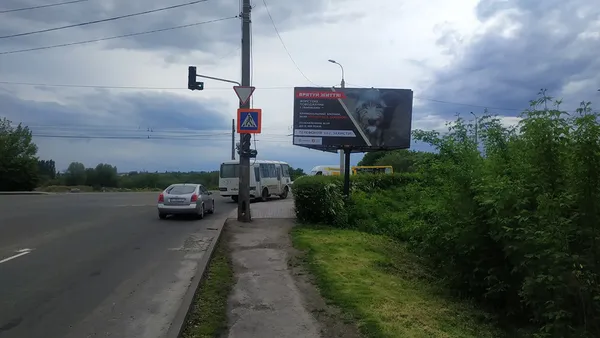 У Луцьку на білбордах з'явилися безпритульні тварини (фото)