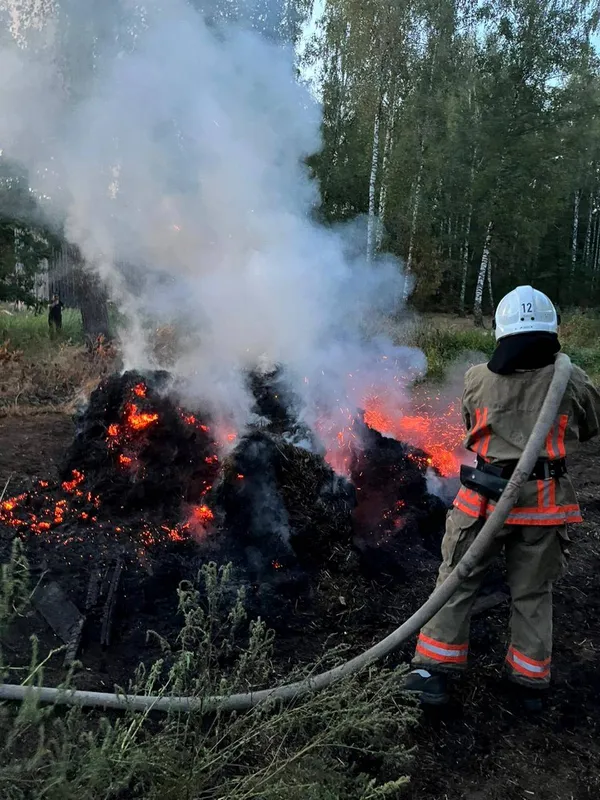 На Волині рятувальники впіймали трьох паліїв: їм виписали великі штрафи (фото)