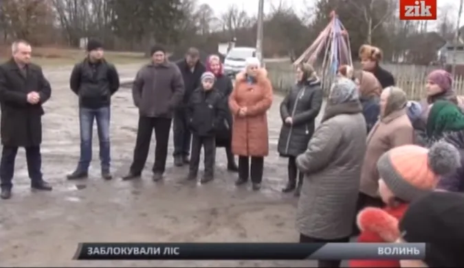 Бунт на Волині: селяни заблокували дорогу, щоб лісгосп не знищував ліс