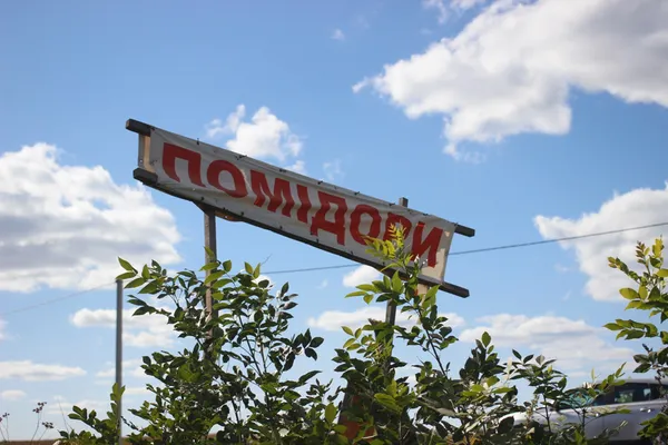 Під Луцьком просто з поля продають помідори: як і за скільки їх купити (фото)