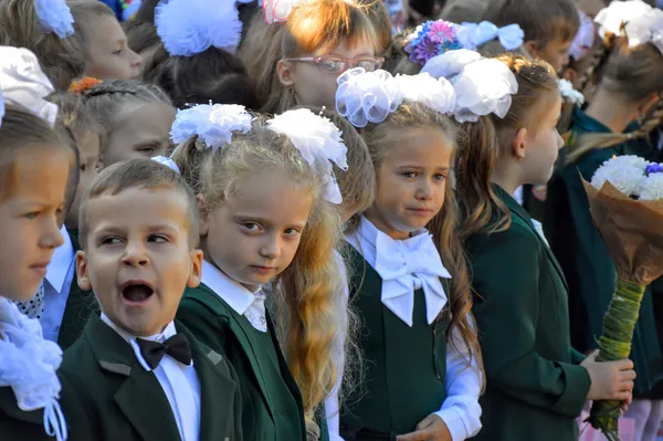 «Сонний» і «квітковий» перший дзвоник в луцьких школах (фото)