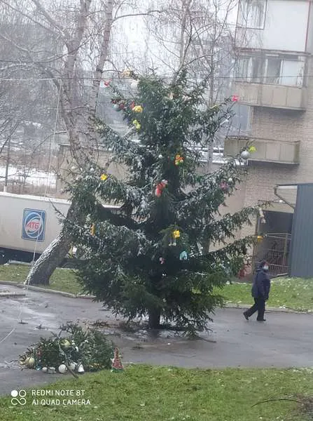 Ялинку в Нововолинську, на якій «повісилися» зайці, переодягнуть