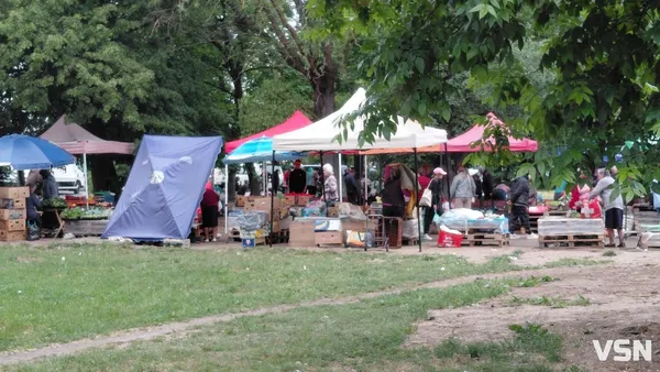 У Луцьку впала ціна на молоду картоплю: скільки коштує кілограм на ринку