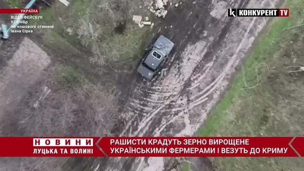 Бійці ЗСУ показали, як знищують ворожу піхоту з безпілотника (відео)