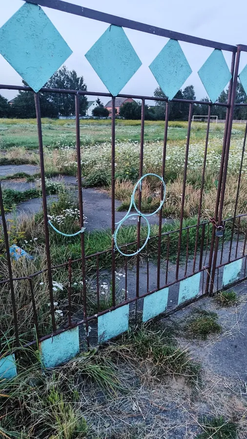 «У хащах бігають лисиці»: у Старій Вижівці обурилися занедбаним стадіоном (фото)