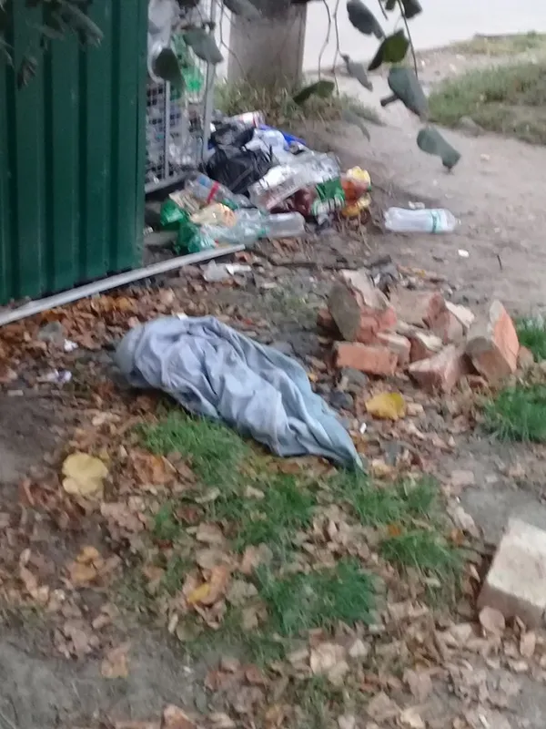 Про «домашні» яблука і овочі без хімікатів (фото)