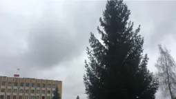 Дубль №2: у Нововолинську врешті встановили новорічну ялинку (фото)