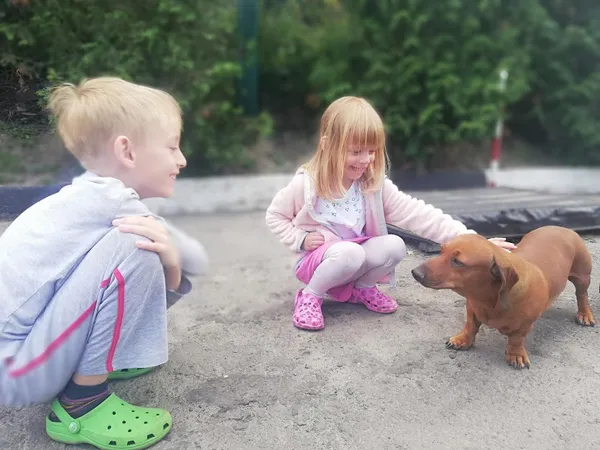 Мама по вайберу, або Щасливий лучанин, який сам виховує дітей