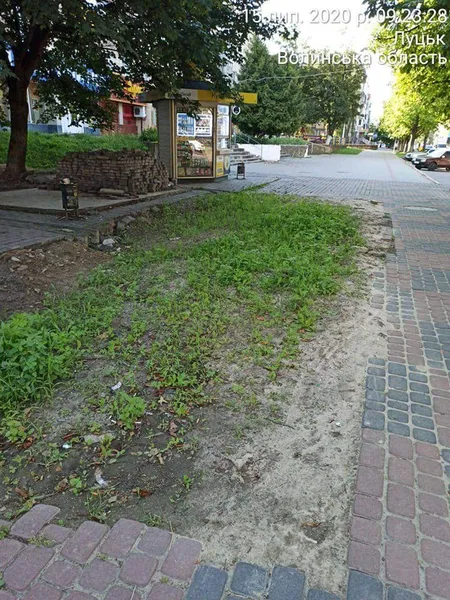 Луцьких комунальників змусили поприбирати за собою (фото)