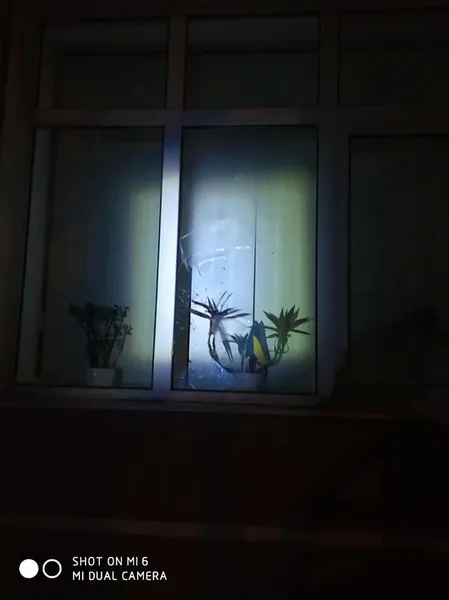 Департаменту мунварти в Луцьку розбили вікна (фото, відео)