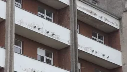Мовчки відчинив вікно і стрибнув: все, що відомо про самогубство у лікарні під Луцьком (фото 18+, відео)