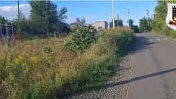 Зелені – по пояс: у Луцьку дитячий майданчик заріс травою (фото)