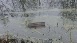 У луцькому парку вандали потопили смітники (фото)