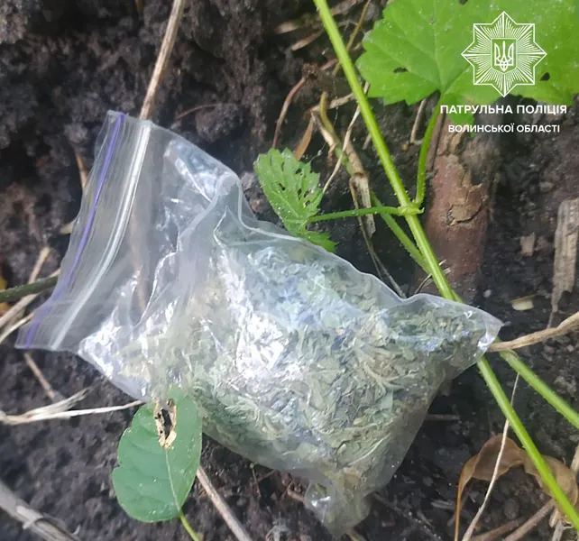 У Ковелі на березі річки зловили двох молодиків з «травкою» (фото)