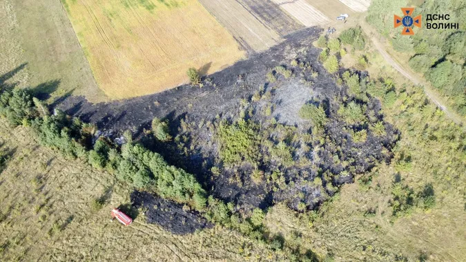 У Луцькому районі сталися сім пожеж у полях – двох паліїв зловили (фото)