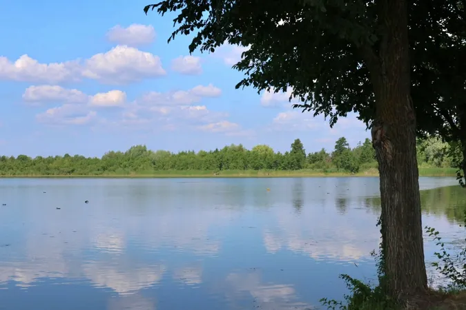 На Волині перевірили озеро Велике Чорне: що показали аналізи води (фото)