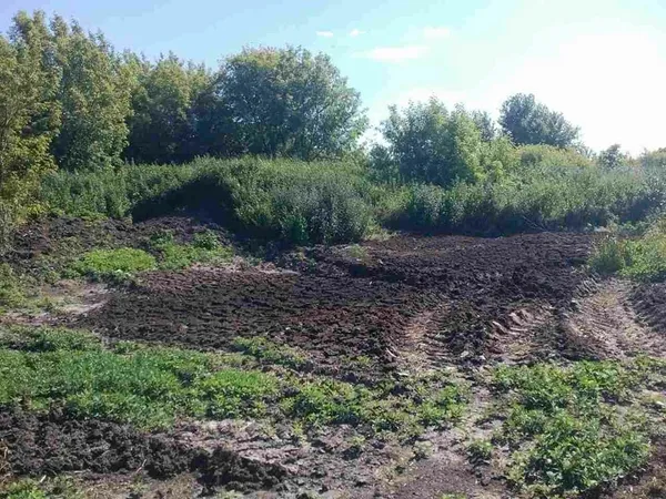 Сморід на Львівській: знайшли ще одну причину (фото) 