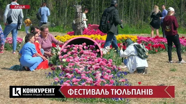 Не тільки тюльпани: чим дивує «Волинська Голландія - 2021» (фото, відео)