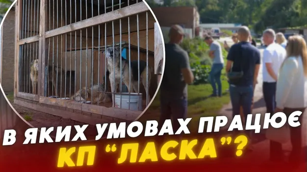 Близько 300 тварин і низка потреб: як нині працює КП «Ласка» (фото, відео)