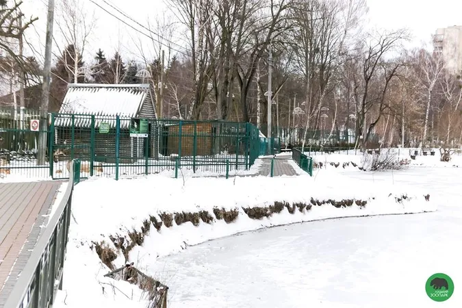 У Луцькому зоопарку «ловили» останні зимові кадри (фото)