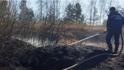 На Волині невідомі підпалили торф’яник (фото)