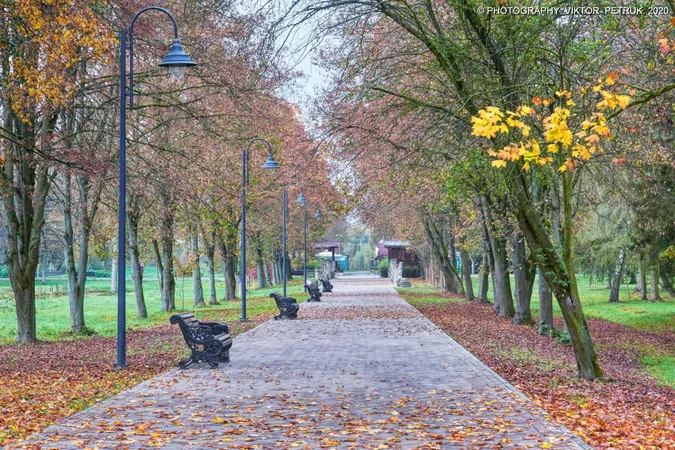 Жовтогаряча осінь у луцькому парку (фото)