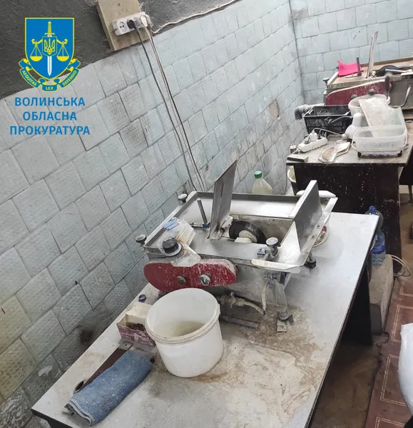 На Волині викрили підпільний цех з обробки бурштину (фото)