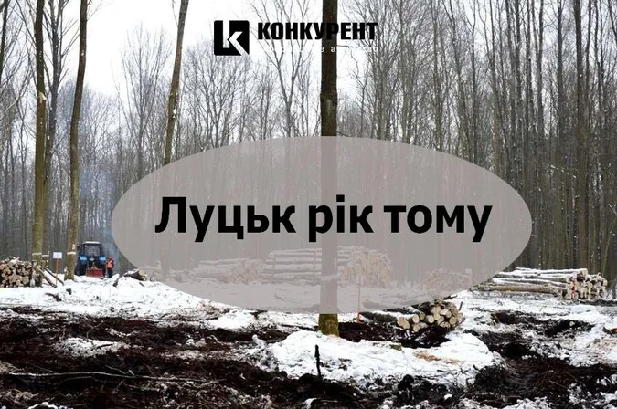 Луцьк рік тому: підроблений алкоголь та лісоповал