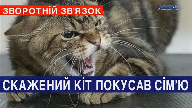 На Волині ціле село на карантині через сказ (відео)