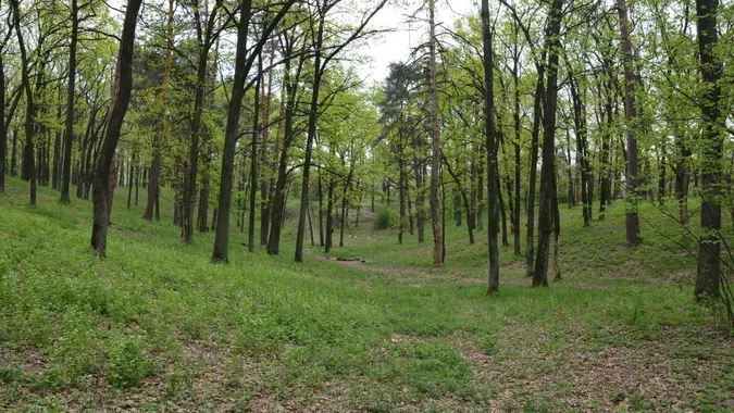 Фото ілюстративне