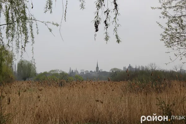 Ботанічний сад на Волині може стати ще кращим