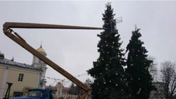 Центральні луцькі ялинки вже майже готові до Нового року (фото)