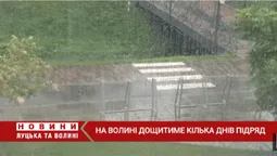 Оголосили жовтий рівень небезпечності: на Волині дощитиме кілька днів підряд (відео)