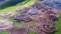 З волинських озер повитягали «нічийні» ятери, сітки та раколовку (фото)