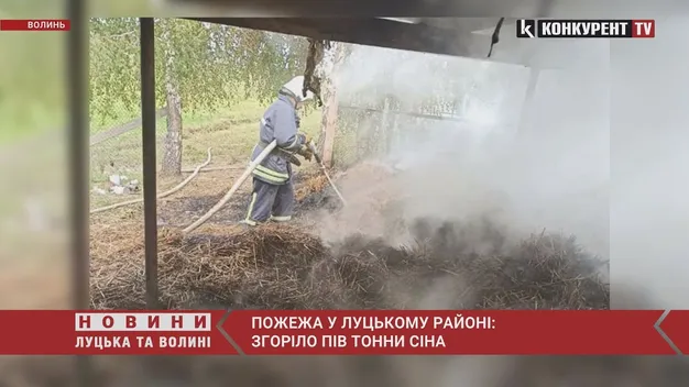 Пожежа в Луцькому районі: згоріло пів тонни сіна (фото, відео)