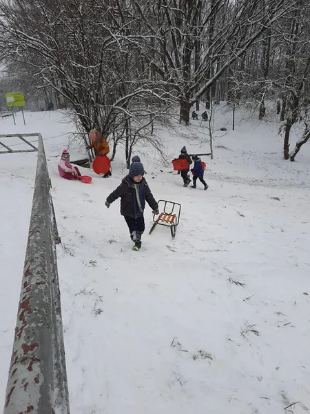 На санчатах, на лопатах і на животі: луцька малеча дочекалася снігу (фото, відео)
